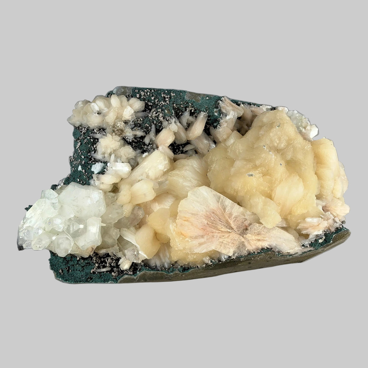 Indian zeolite mineral specimen featuring a light peach fan-shaped crystal, cream clusters, and clear angular crystals on a dark green matrix against a gray background.